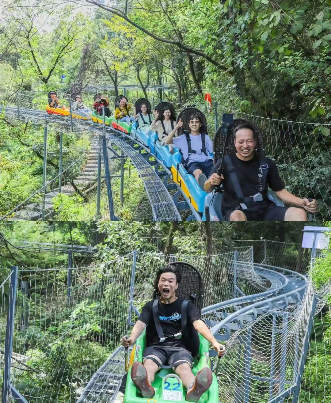 管轨式滑道，沿林间盘旋弯道自由滑行，体验穿越丛林的惊险！
